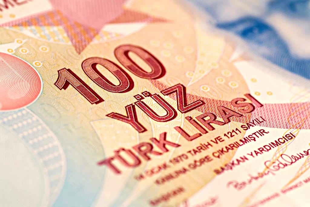 100 tl (turk lirasi)